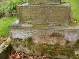 image of grave number 49117